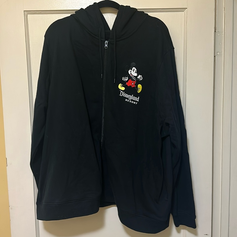 Disneyland hoodie